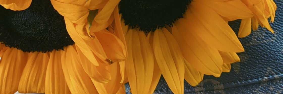 Heyitsyzuel's profile banner image