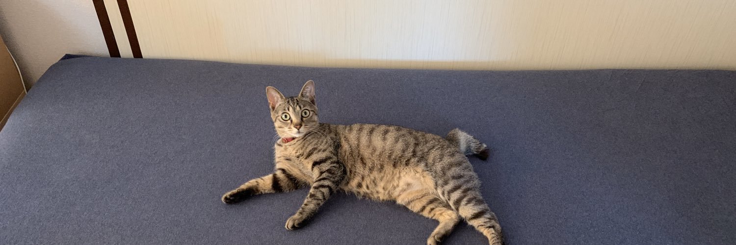 renge__cat's profile banner image