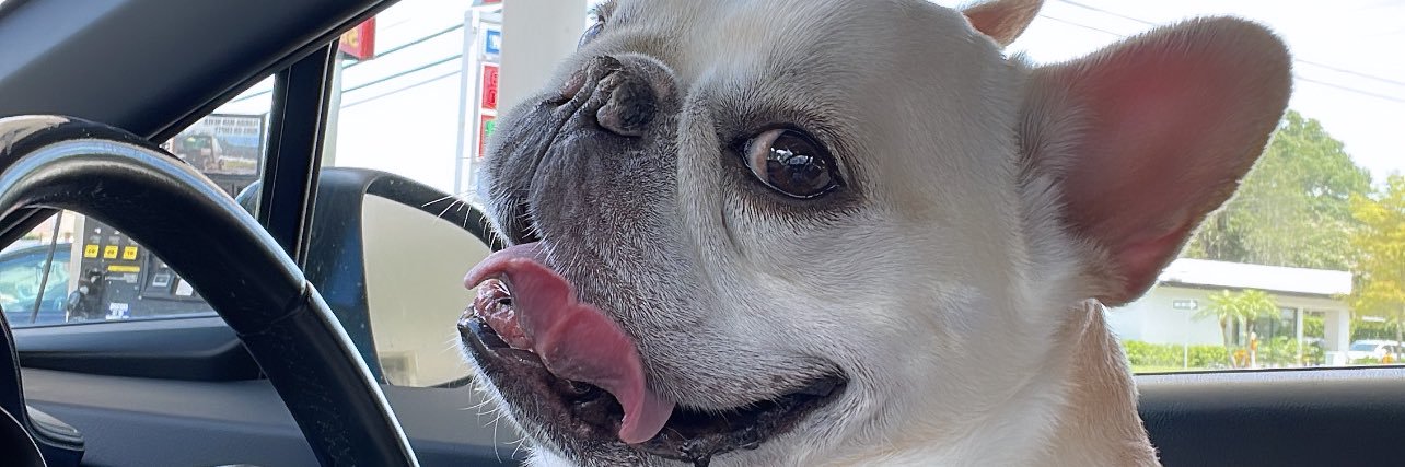 danibgta's profile banner image