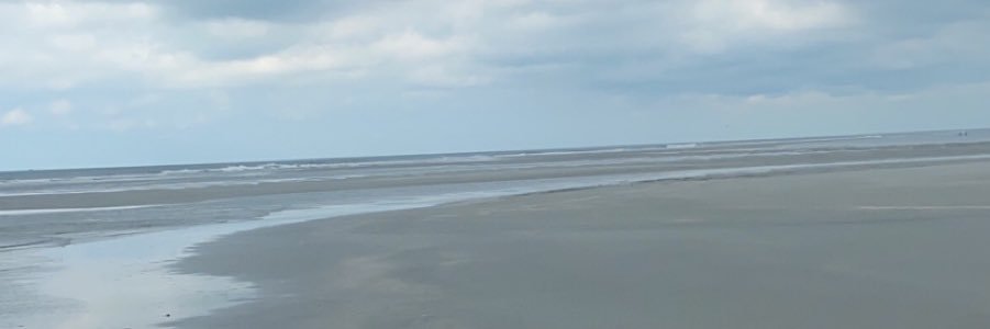 lexschultz6's profile banner image