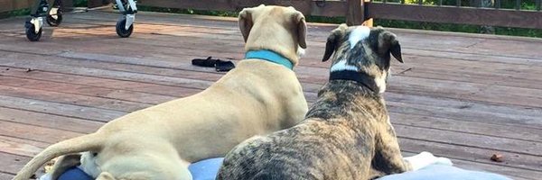 theresaeuler08 Profile Banner