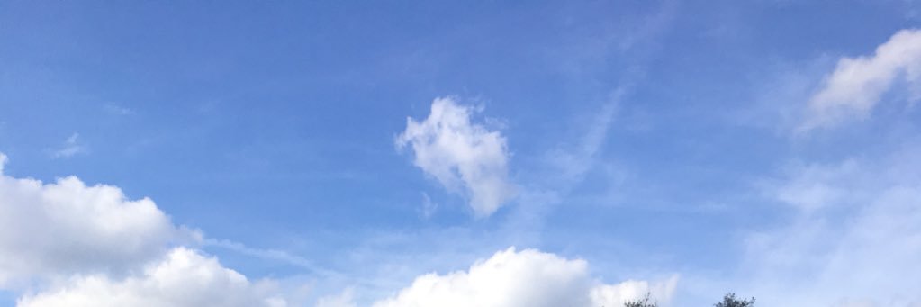 Snowwww_'s profile banner image
