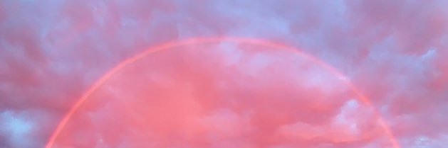mol 🧚🏼‍♀️🦕🥀 banner