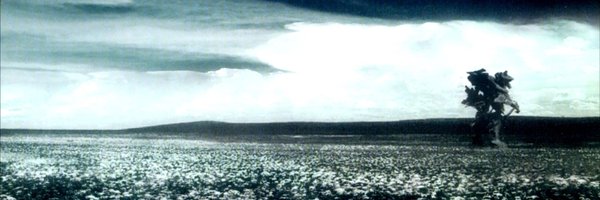 popo74a Profile Banner