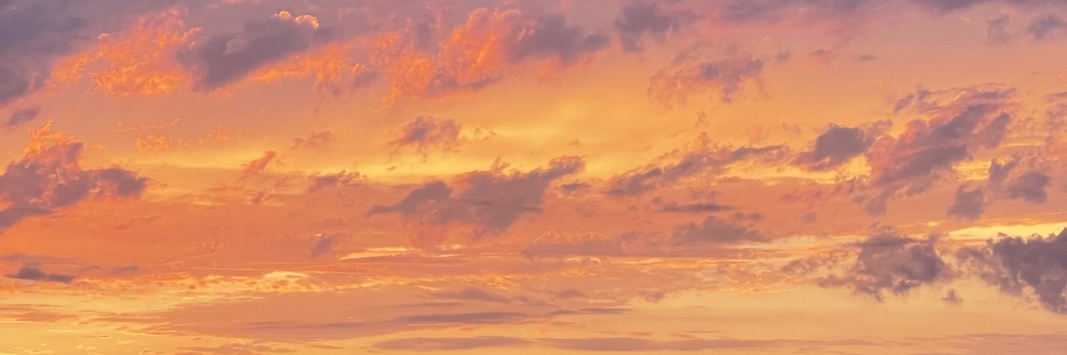 RileySydney's profile banner image