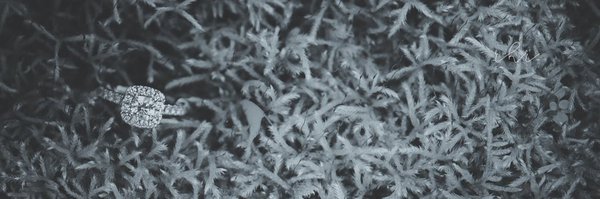 PhotoByRobin Profile Banner