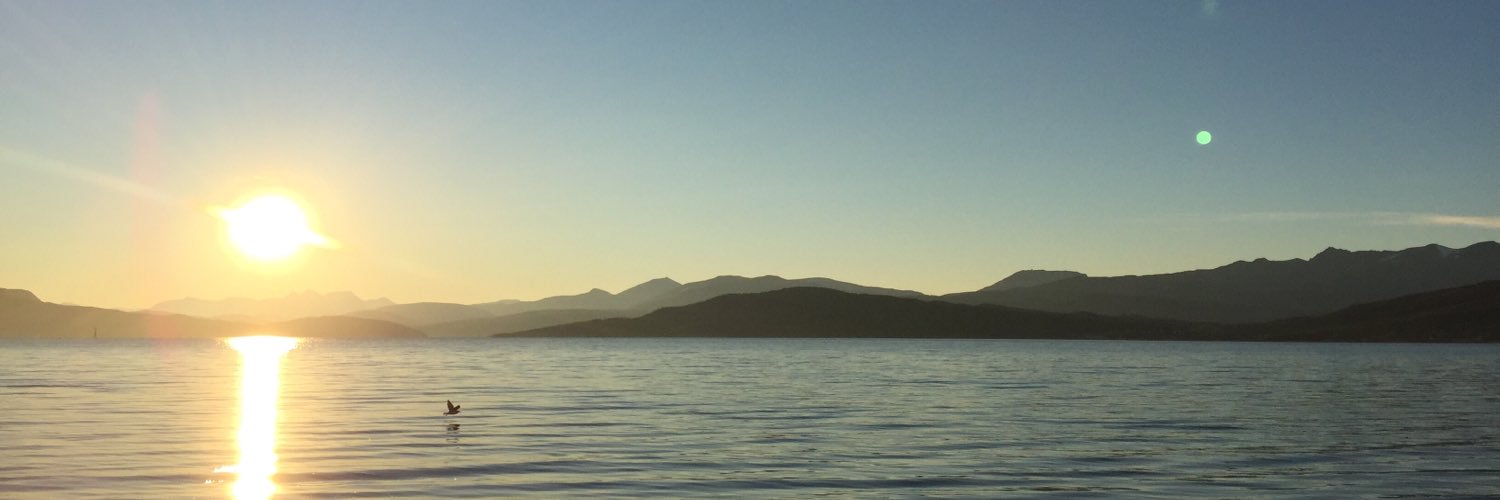 LCSimonsen's profile banner image