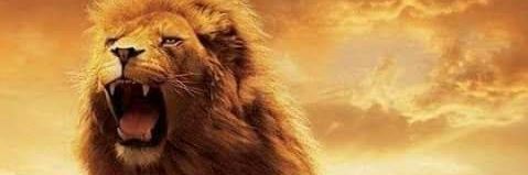 ElzaiatGamal's profile banner image