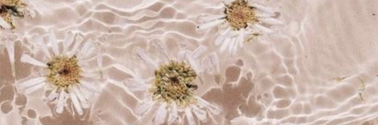 daisaenz's profile banner image
