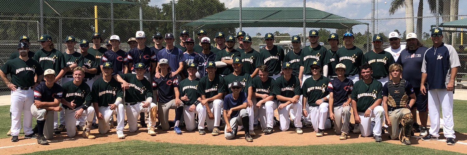 Perfect Game International's banner