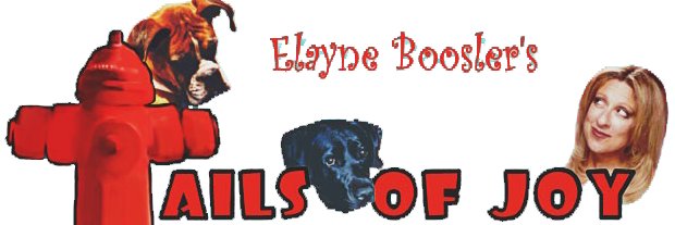 Elayne Boosler's Rescue Dog, Ralph banner