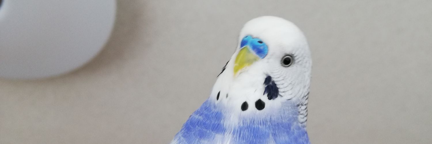okashimijichan's profile banner image
