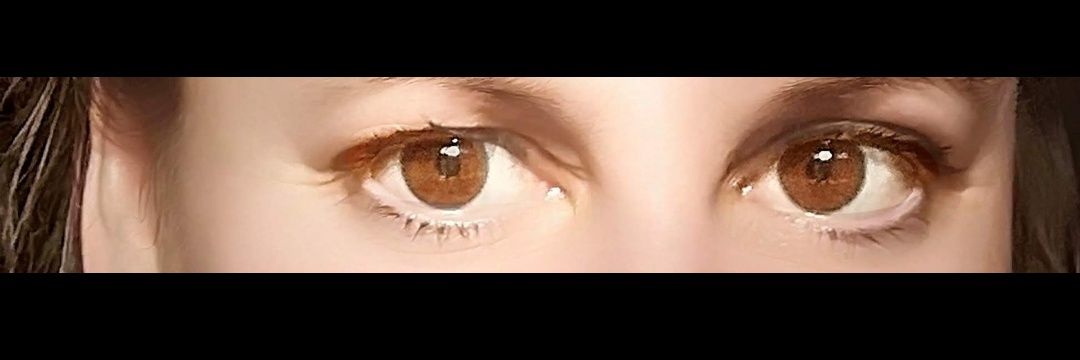 nikniknature's profile banner image