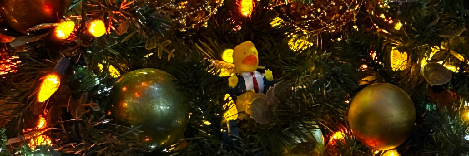 Krista Schild banner