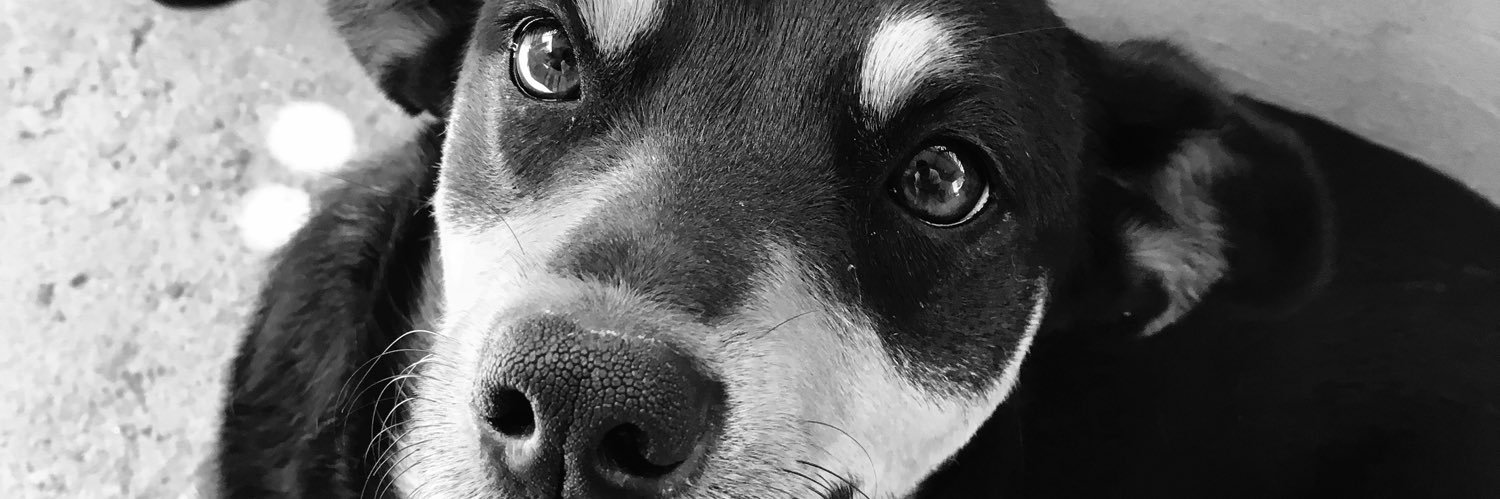 Maarcelo21's profile banner image