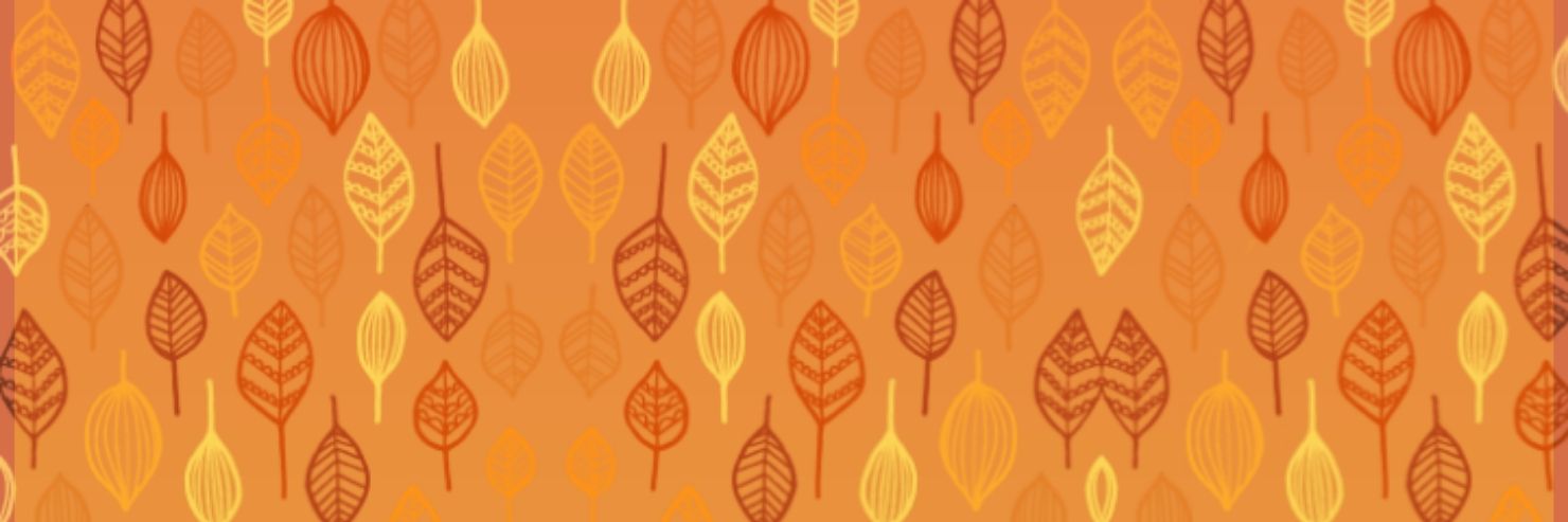 ludicrousbliss's profile banner image