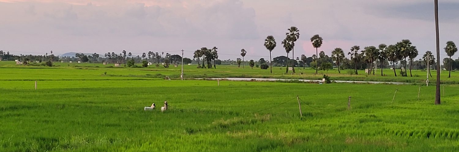 srinathrapuri's profile banner image