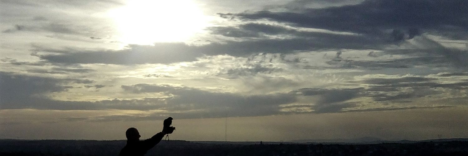m_azamora's profile banner image