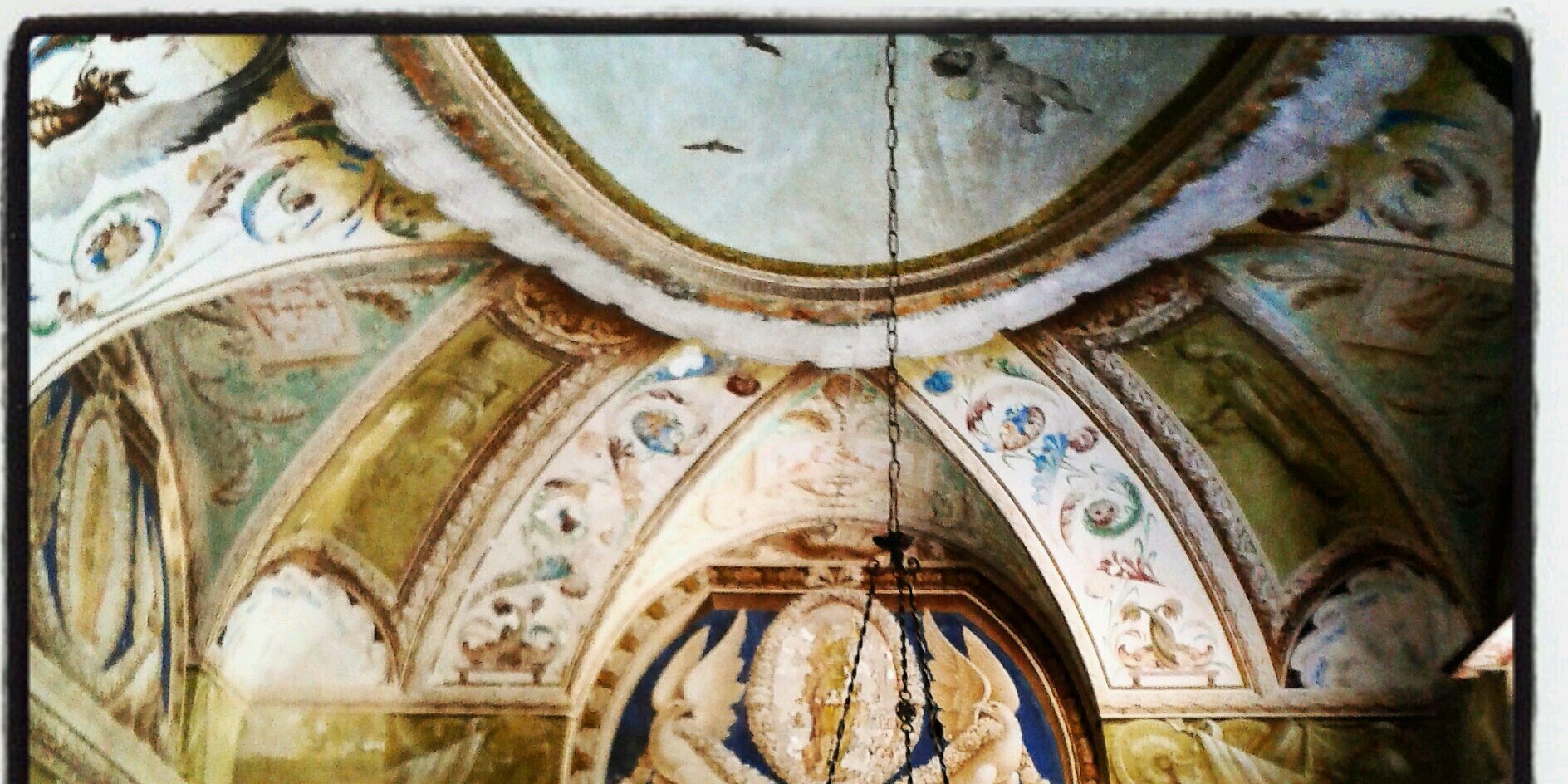 EliSeverini's profile banner image