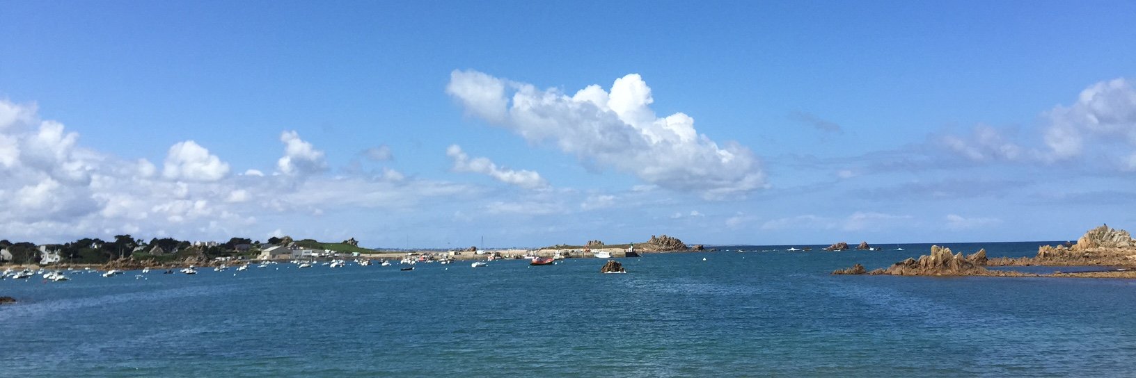 Jean-Jacques Aillagon banner