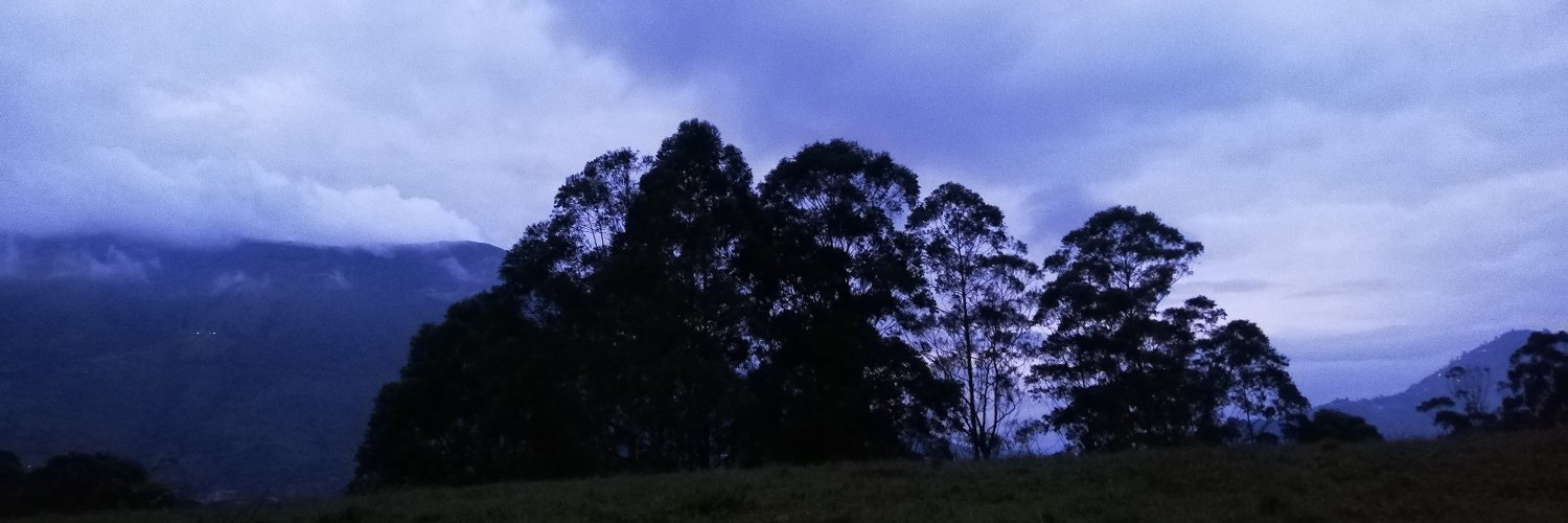 Leonel Aranzazu Marín banner