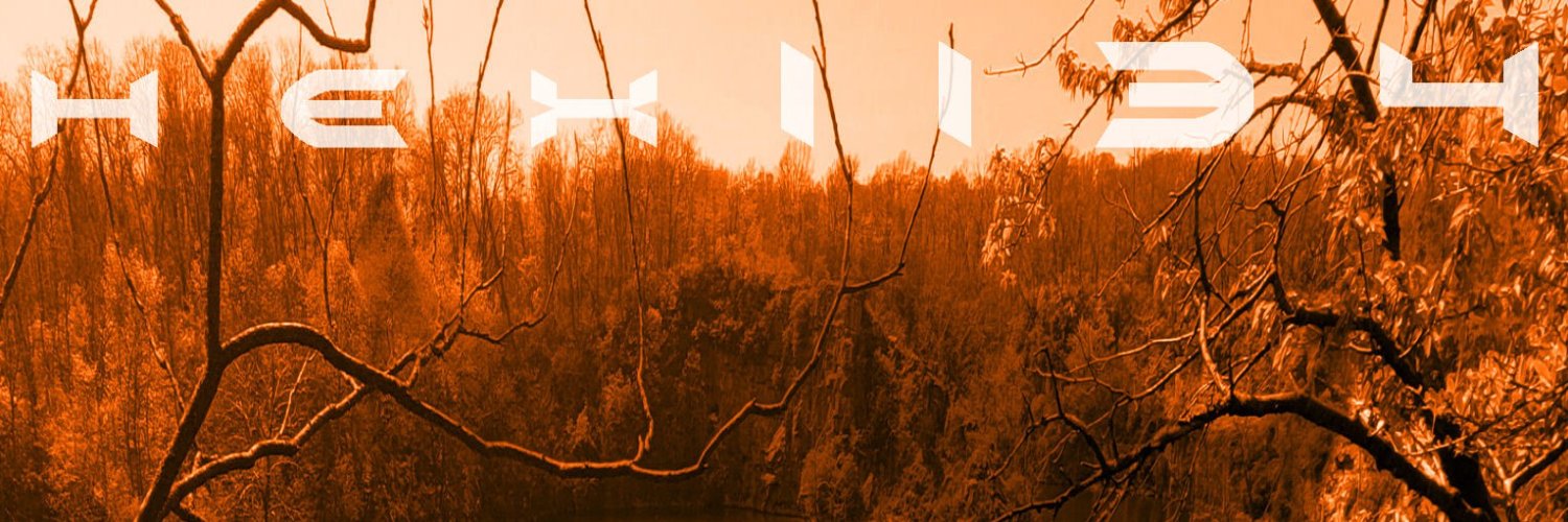 hex1134's profile banner image