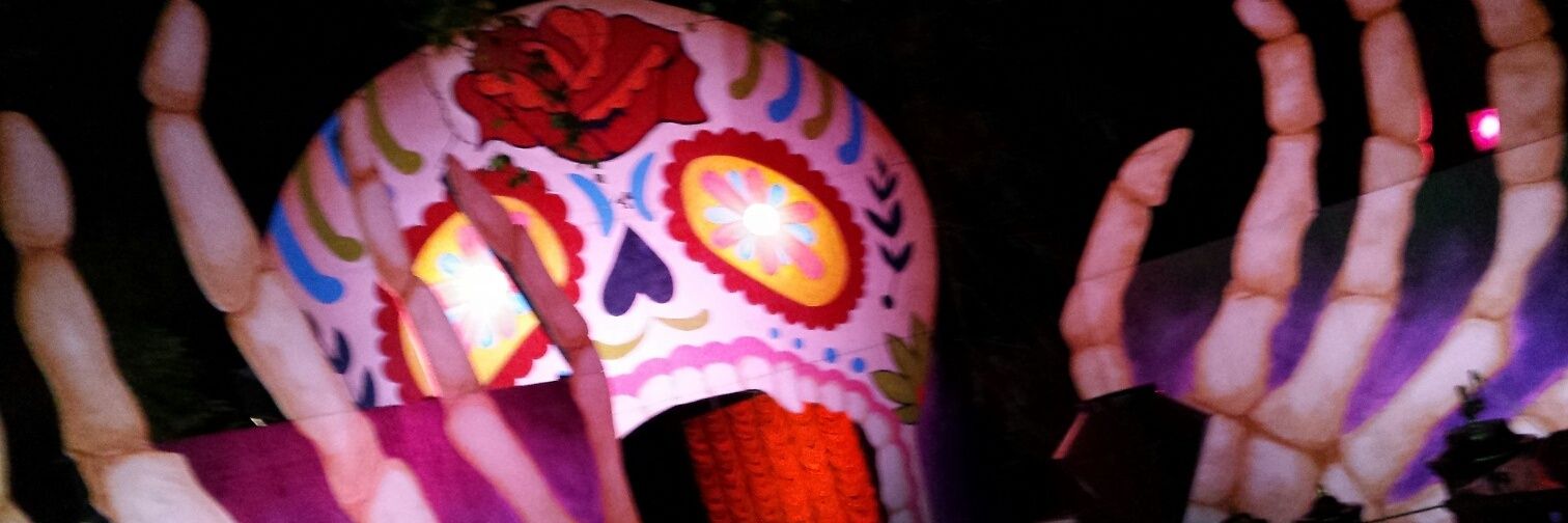 adam bradley carlson banner