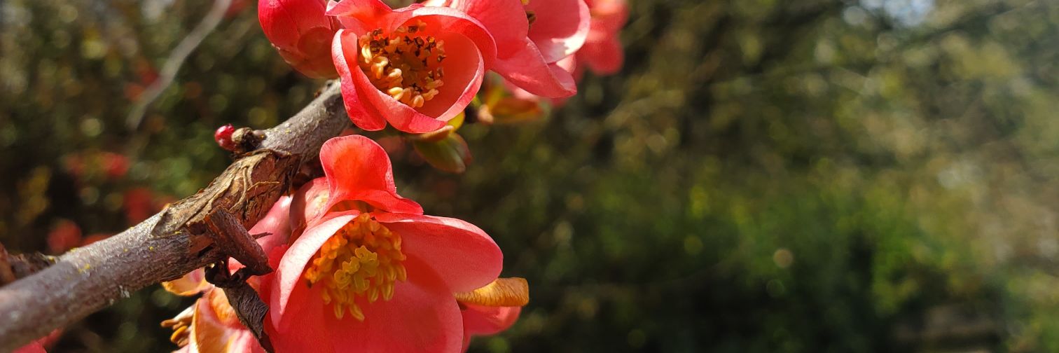 heravandrivell's profile banner image