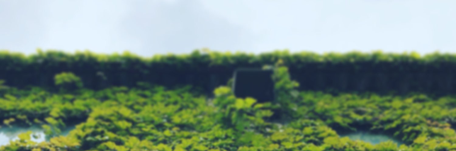 YaonaoS's profile banner image