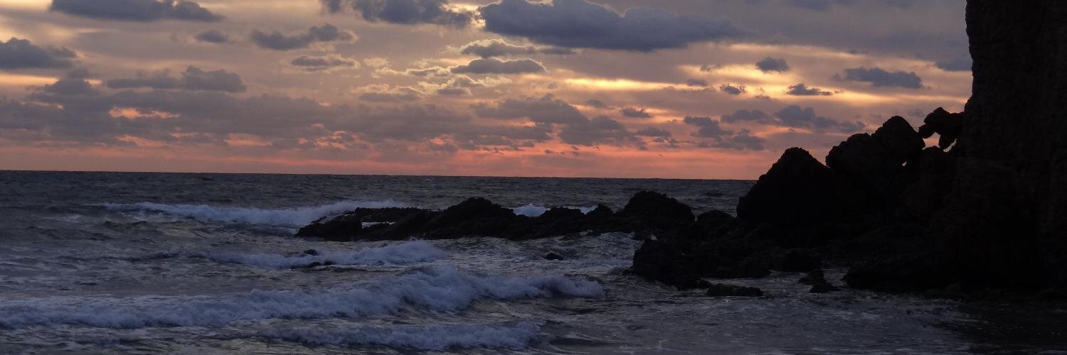 snap_dragona's profile banner image