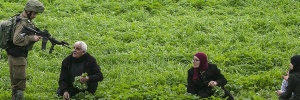 BadShadyMario Profile Banner