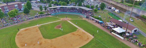 SteepleCats Profile Banner