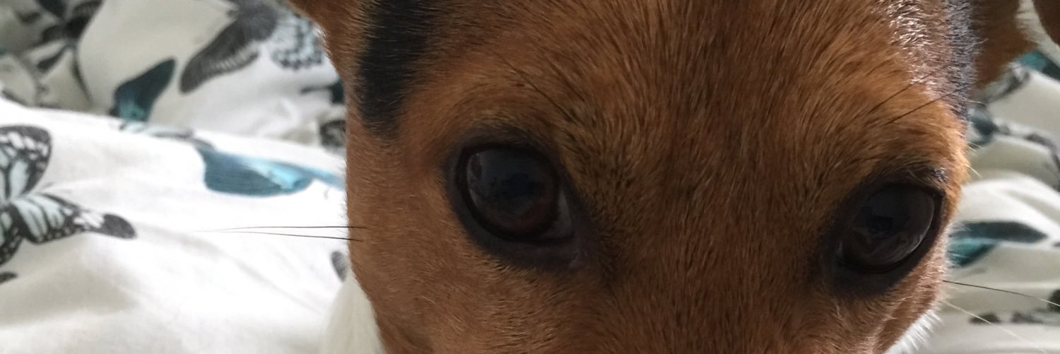 mark_evaritchie's profile banner image