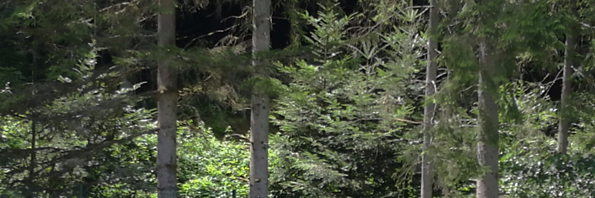 bebert6969's profile banner image