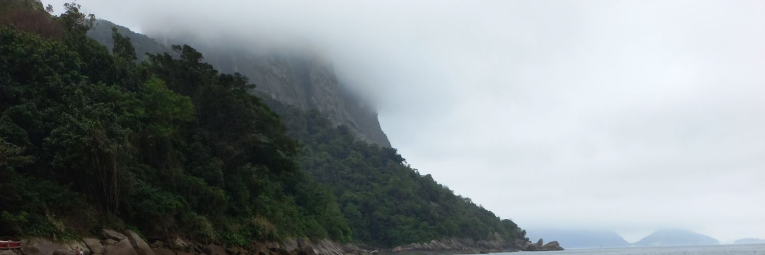 vivianears's profile banner image
