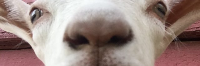 1ovisa's profile banner image
