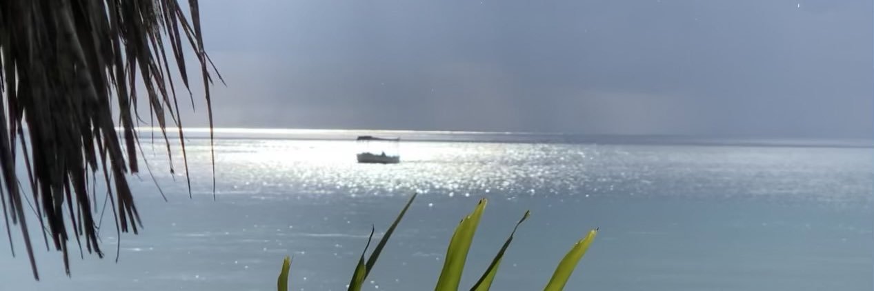 BEARFN34's profile banner image