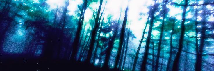 SORROW / Poe banner