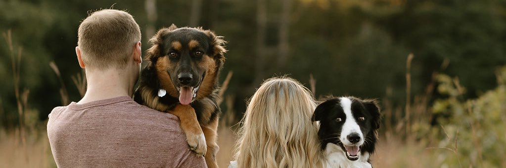 chrysstene's profile banner image
