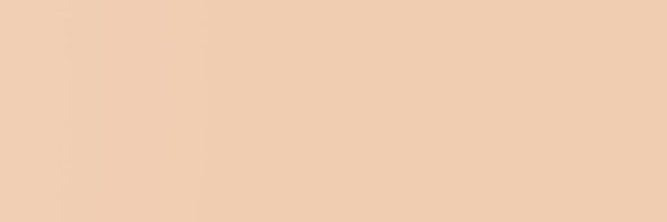 elvira_greco Profile Banner