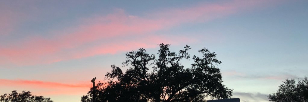 averyallison_'s profile banner image