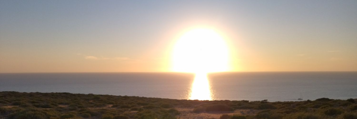 Ismael Morales 🍹🐦 banner