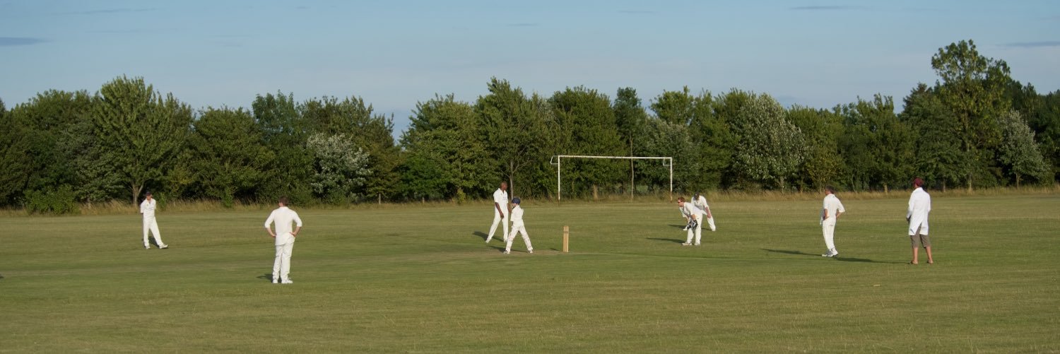 RopsleyBaboons's profile banner image