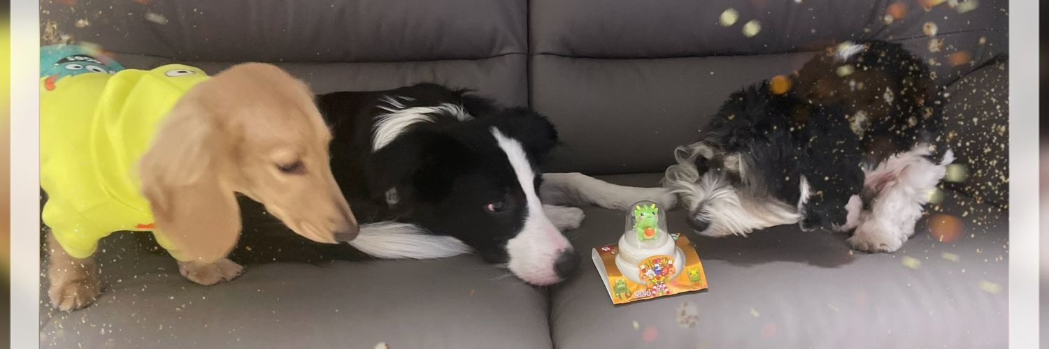 たなぴょん banner