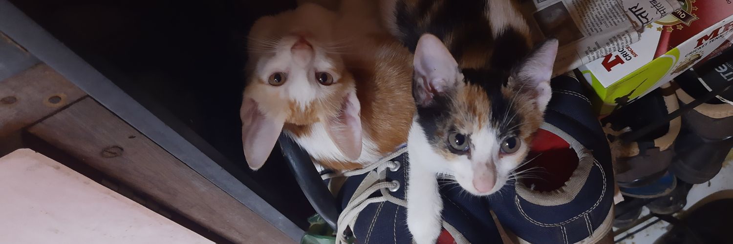 Memegurl17's profile banner image