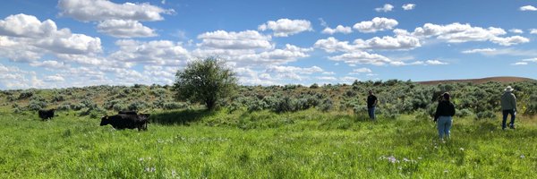 wsuCSANR Profile Banner