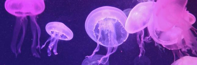 cynthiaitzela's profile banner image