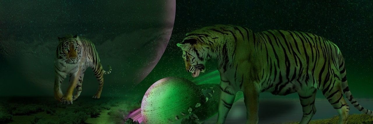 quepasaneng's profile banner image