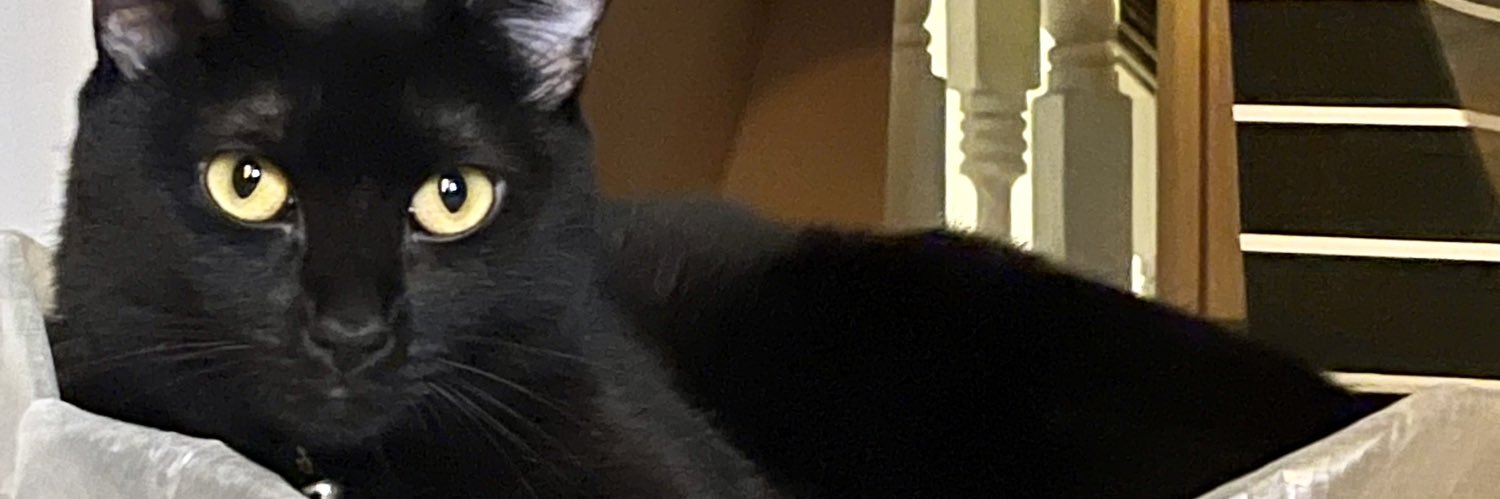 aemilllia's profile banner image