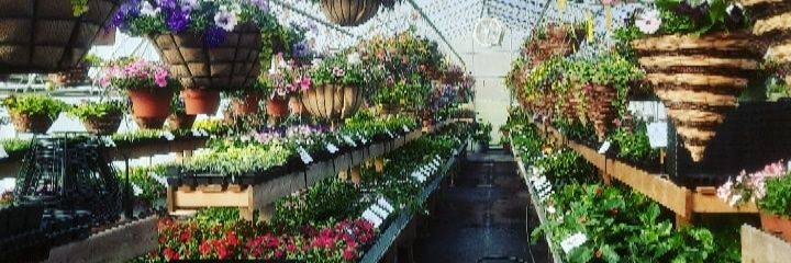ArthurGreenhous's profile banner image